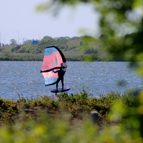 wingfoil-lessons-and-rental-fly